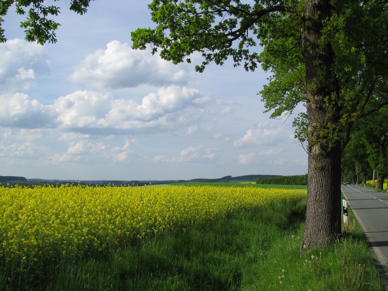 thringische Landschaft bei Milareuth (SOK), 06.06.2010