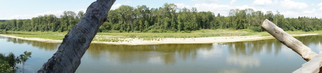 Thurauen - Panorama rechtes Thurufer vom Beobachtungsturm (01.08.2012)