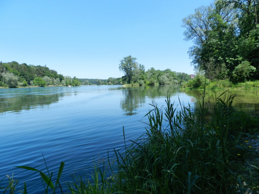 Thurspitz bei Flaach - links Rhein - rechts Thur (26.05.2012)