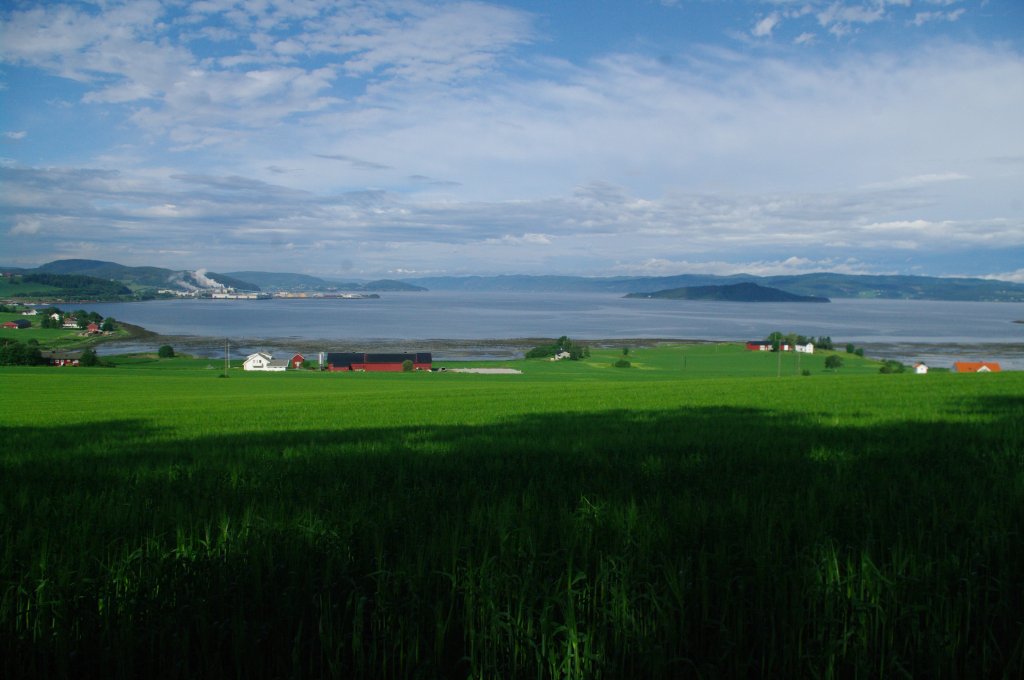 Trondheimfjord bei Altstadhaug (28.06.2013)