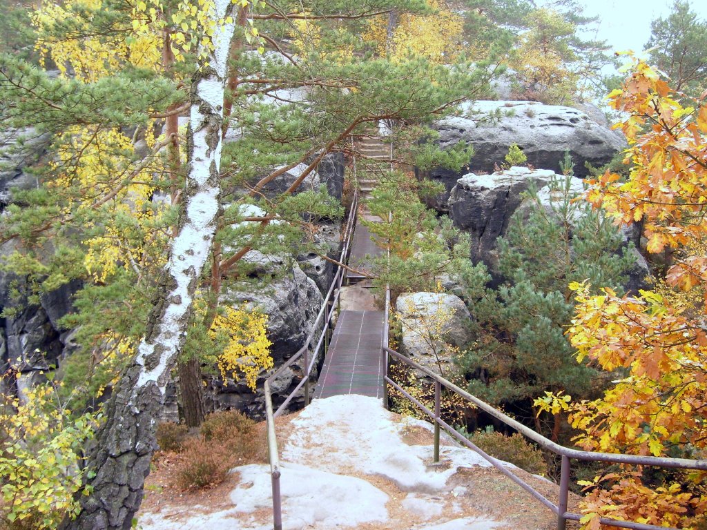 ber schmale Pfade fhrt der Wanderweg hiauf auf den Rauenstein , im Naturschutzgebiet Schsische Schweiz , am 21.10.2012