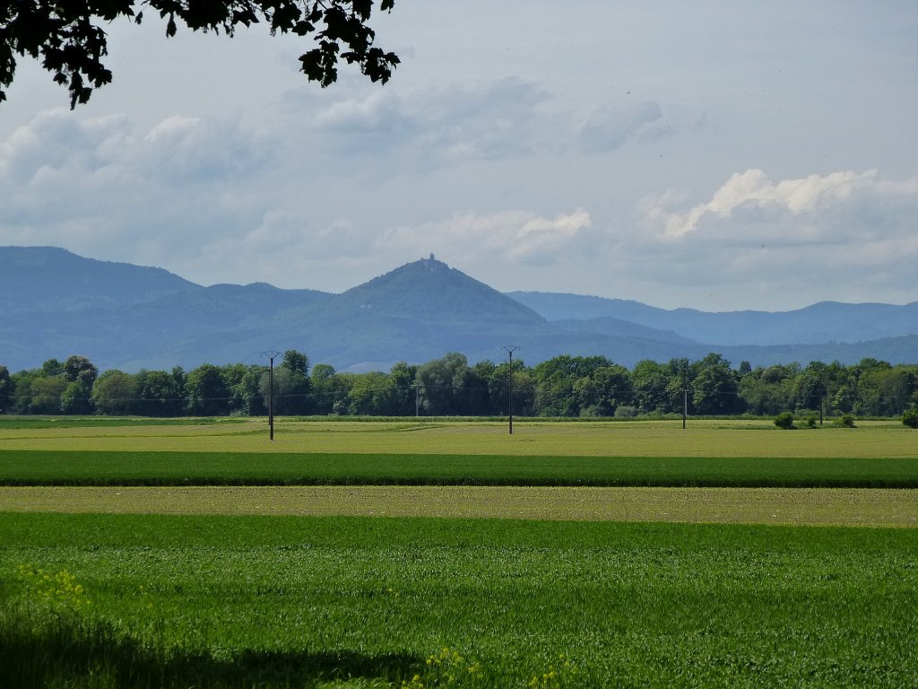 Unterelsa, Blick zur Hochknigsburg in den Vogesen, Mai 2013