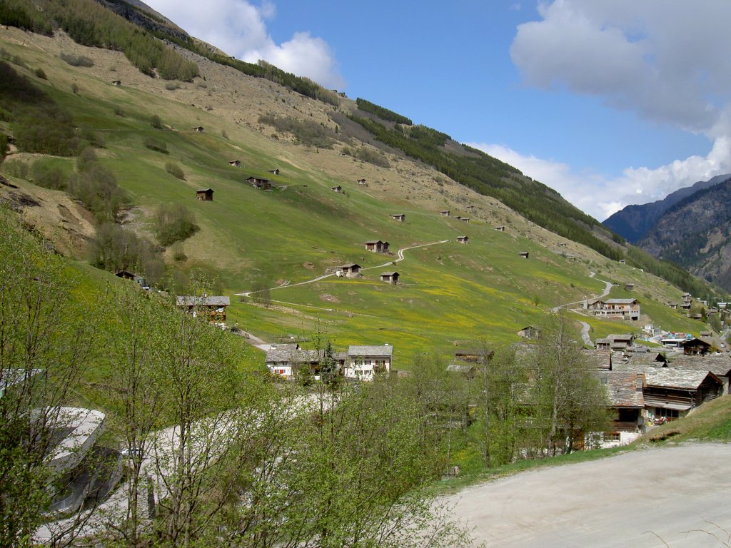 Valser Tal, Berghnge bei Vals (01.05.2011)