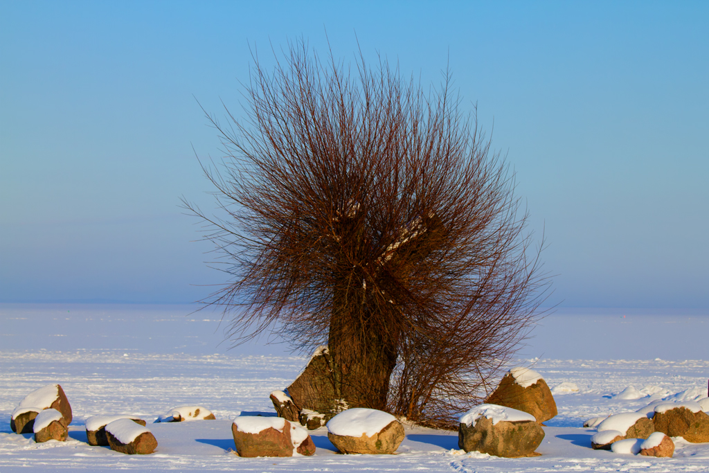 Vereist & verwaist der Strand von Ueckermnde. - 06.02.2012