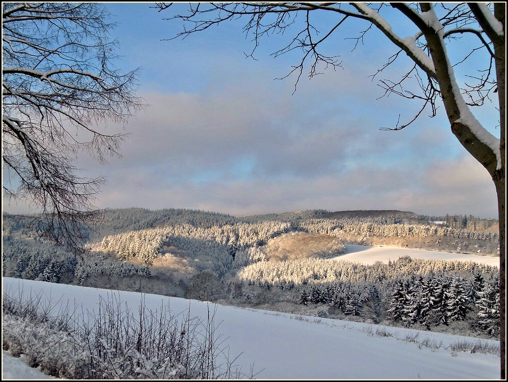 Verschneite Landschaft in der Nhe von Wiltz. 18.12.2010 (Jeanny)