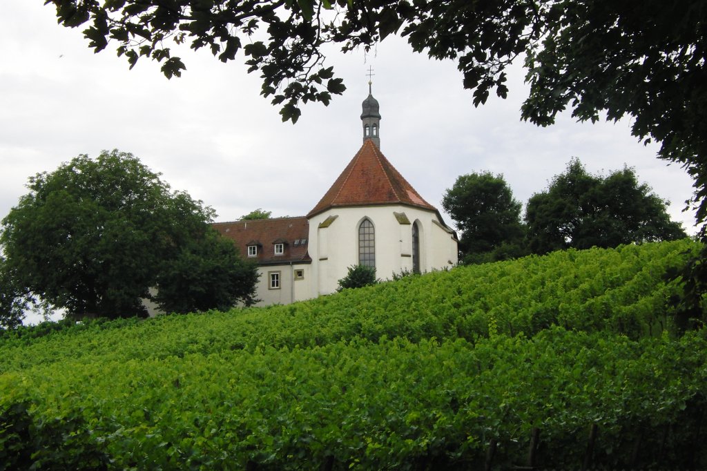 Vogelsburg bei Escherndorf / Volkach am 8.8.2010