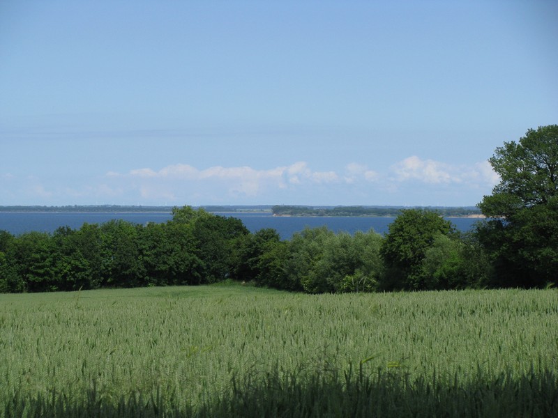 Von der Chausee L 01 bei Wohlenberg (NWM) tat ich einen Blick ber die Wohlenberger Wiek (Ostsee) zur Insel Poel, 22.06.2010