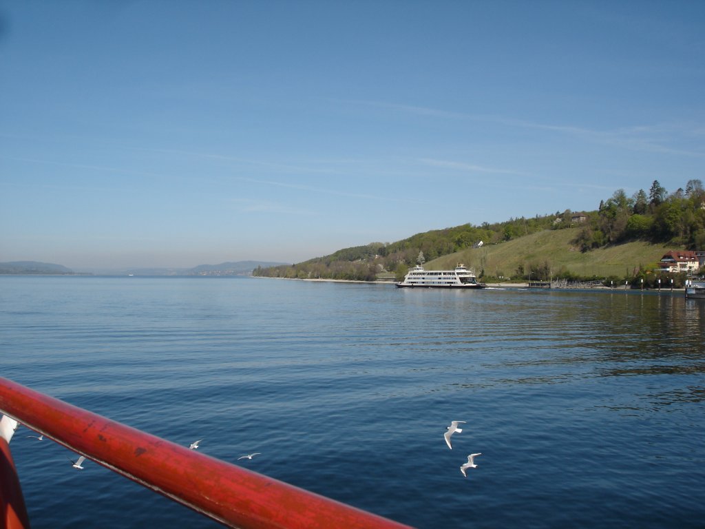 von Meersburg zur Mainau,
im Hintergrund die Autofhre Meersburg-Konstanz,
April 2007 