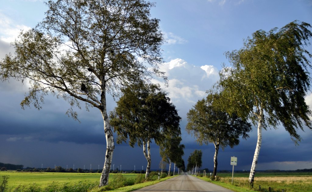 vorbeiziehender Schauer (über Rüschendorf/Dammer Berge) eines Kaltlufteinbruchs
( Streuselkuchen -Wetter)im  Sommer  2011, aufgenommen Nähe Schäferhof am 27.08.11