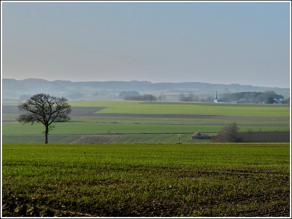 Vorfrhlingshafte Landschaft in Richtung Allerborn. 14.03.2012 (Jeanny)