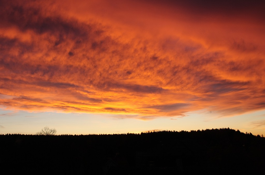 Wald bei Braunlage vor Sonnenaufgang; Aufnahme am Morgen des 5.11.2011 von der Alten Harzburger Strae aus.