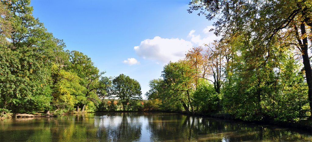 Waldteich bei der Burg Ringsheim - 22.09.2012