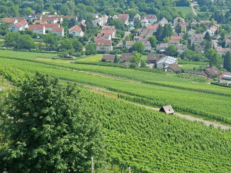 Wartberg in Heilbronn: Der Blick zum Heilbronn und den vielen Weinbaugebiet am 13.07.2013

Beliebtes Ausflugsziel 308 m ber Heilbronn

Der Wartberg ist eine der Einzellagen des Heilbronner Weinbaus. Erstmals erwhnt wird der Weinbau auf dem Wartberg in einer Urkunde aus dem Jahr 1146. 
Er wird darin als  mit Wein bewachsen Nordberg  benannt.
Der Heilbronner Wartberg ist aber nicht nur Weinanbaugebiet, sondern bietet auch einen tollen Blick ber Heilbronn.