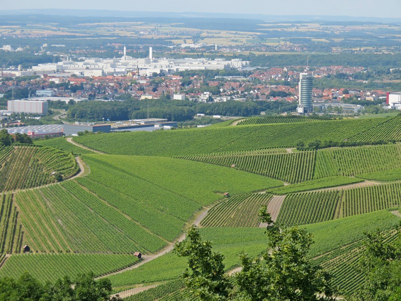 Wartberg in Heilbronn: Der Blick zum Heilbronn und den vielen Weinbaugebiet am 13.07.2013

Beliebtes Ausflugsziel 308 m ber Heilbronn

Der Wartberg ist eine der Einzellagen des Heilbronner Weinbaus. Erstmals erwhnt wird der Weinbau auf dem Wartberg in einer Urkunde aus dem Jahr 1146. 
Er wird darin als  mit Wein bewachsen Nordberg  benannt.
Der Heilbronner Wartberg ist aber nicht nur Weinanbaugebiet, sondern bietet auch einen tollen Blick ber Heilbronn.