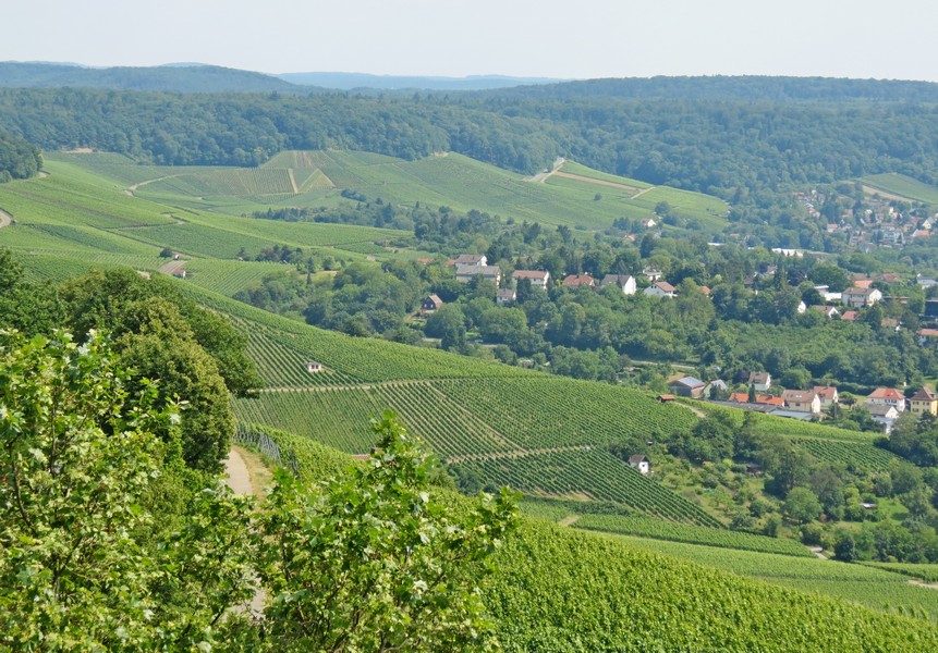 Wartberg in Heilbronn: Der Blick zum Heilbronn und den vielen Weinbaugebiet am 13.07.2013

Beliebtes Ausflugsziel 308 m ber Heilbronn

Der Wartberg ist eine der Einzellagen des Heilbronner Weinbaus. Erstmals erwhnt wird der Weinbau auf dem Wartberg in einer Urkunde aus dem Jahr 1146. 
Er wird darin als  mit Wein bewachsen Nordberg  benannt.
Der Heilbronner Wartberg ist aber nicht nur Weinanbaugebiet, sondern bietet auch einen tollen Blick ber Heilbronn.