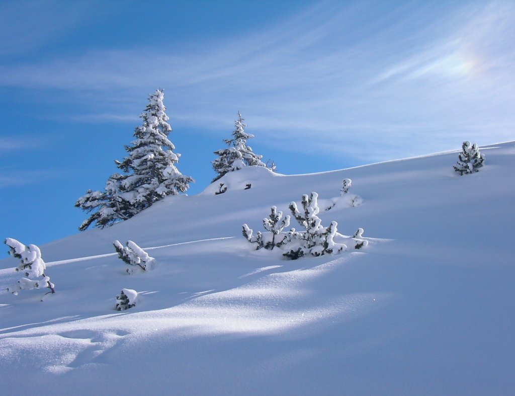 Warth-Schrcken / Vorarlberg - Skifahren Fasching 2010 - 

'Traumhafte Winterlandschaft'