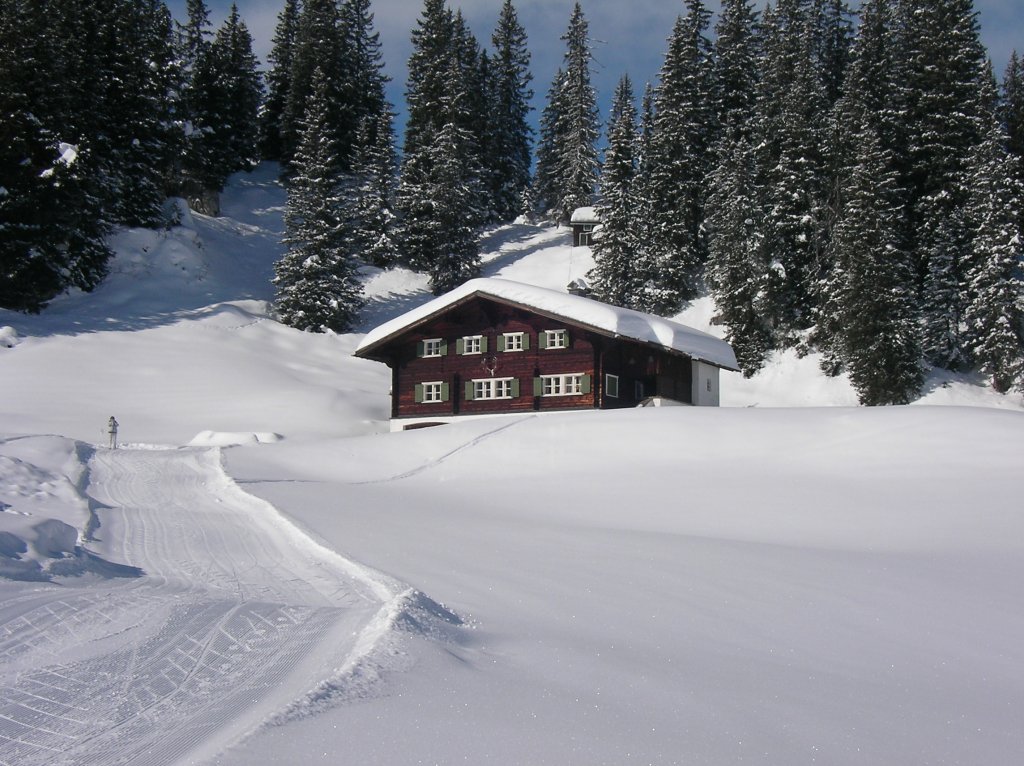 Warth-Schrcken / Vorarlberg - Skifahren Fasching 2010 -

'Traumhafte Winterlandschaft'