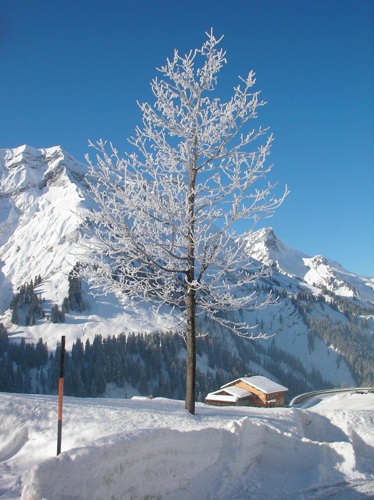 Warth-Schrcken - Vorarlberg - Skifahren / Fasching 2010 