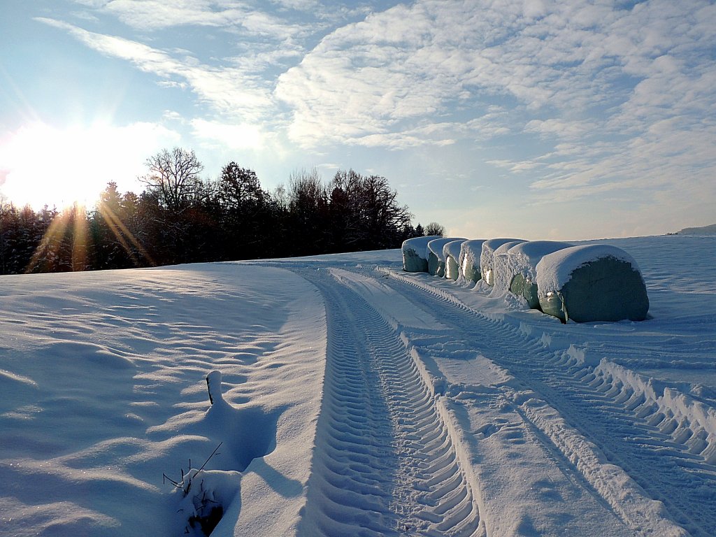  Weg zum Licht ; 130119