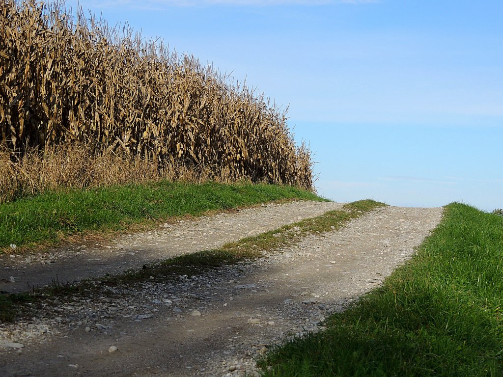 Wegende, oder geht es nach der Kuppe doch wieder weiter? 121014