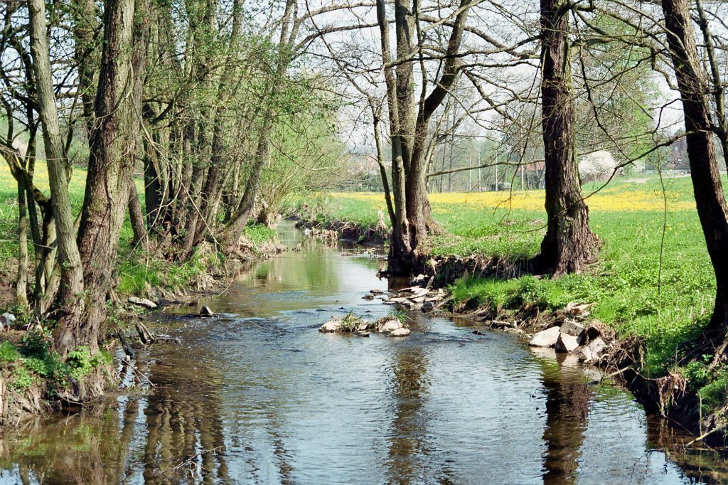 Wenn man ab Neunhofen zu Fu dem lauf der Orla folgt,und entlang des Mhlengrundes wandert kann man eine Idylische Natur finden, die gerade zum Frhjahr ihresgleichen sucht.

23.04.2011