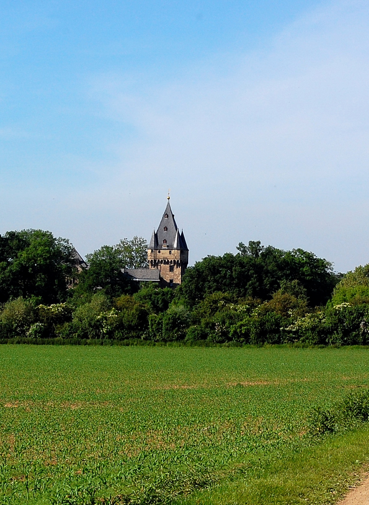 Wenn man von Grevenbroich Langwaden aus den Feldweg nach Hlchrath benutzt und gerade aus dem Busch heraus kommt, hat man diesen Ausblick auf Schlo Hlchrath. Hinter Bschen und Bumen ragt der Turm hervor, in dunkler deutscher Geschichte sollen hier Wehrwlfe ausgebildet worden sein. Foto vom 5.6.2010