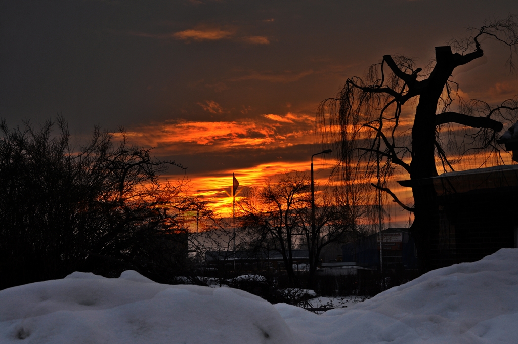 wenn's Frauchen alleine einkaufen geht und das Herrchen alleine im Auto zurck lt kann sowas dabei herauskommen

ein Winterabend in Stralsund, 19.02.2010