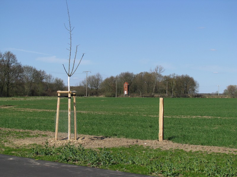 westmecklenburgische Landschaft an der B 195 im Landkreis Ludwigslust [April 2010]