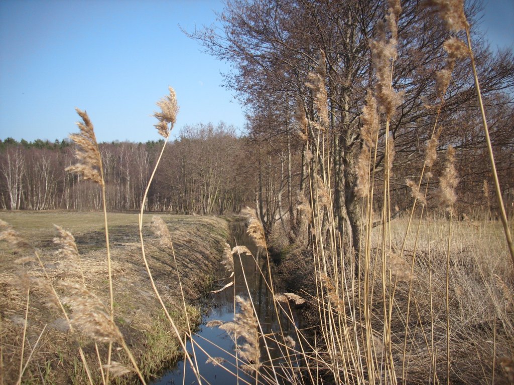 Wieder lassen sich unzhlige Fotomotive entdecken.