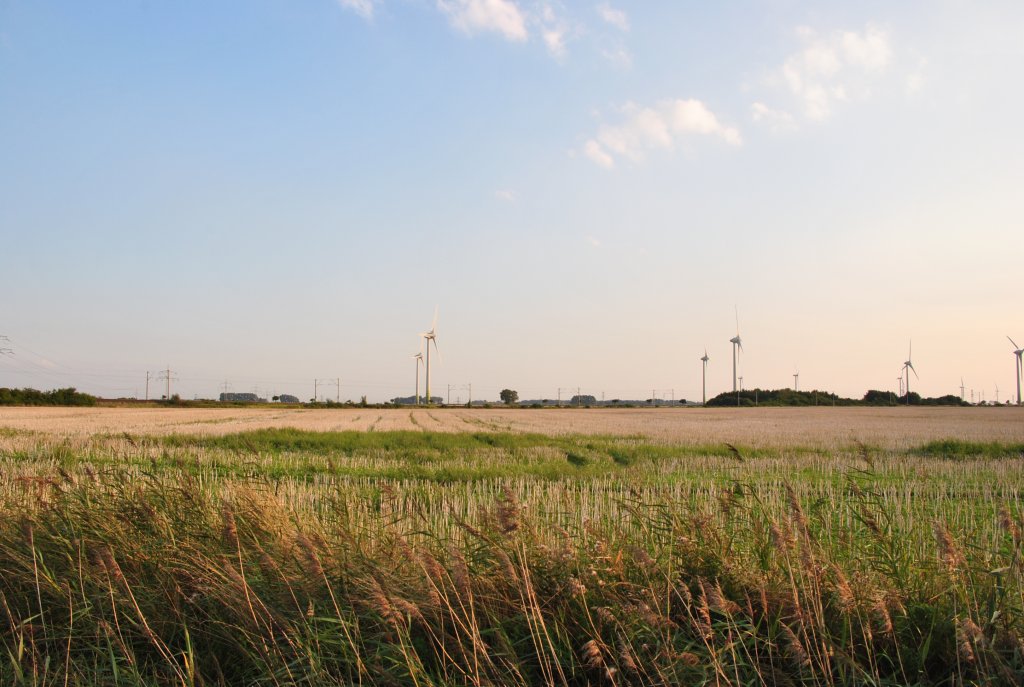 Windkraftrder zwischen Lehrte und Ramhorst, am 21.08.2010