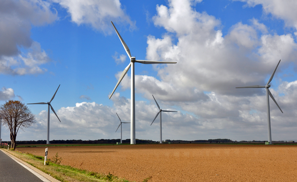 Windrder bei Nrvenich - 24.10.2010