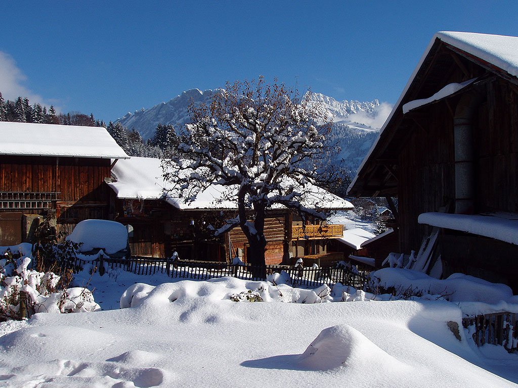 Winter in Arveyes-sur-Ollon/VD. Blick in Richtung L'Argentine, 16. Nov. 2007, 14:57