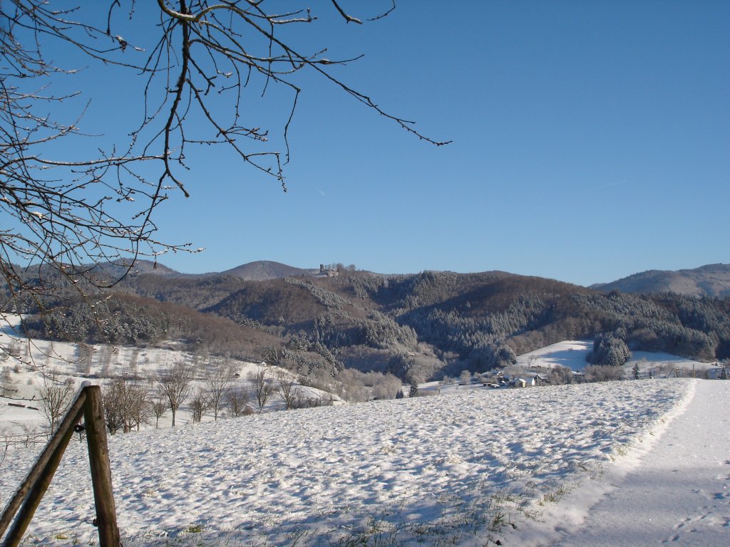 Winter im Markgrfler Land,
bei Sitzenkirch,
Dez.2004