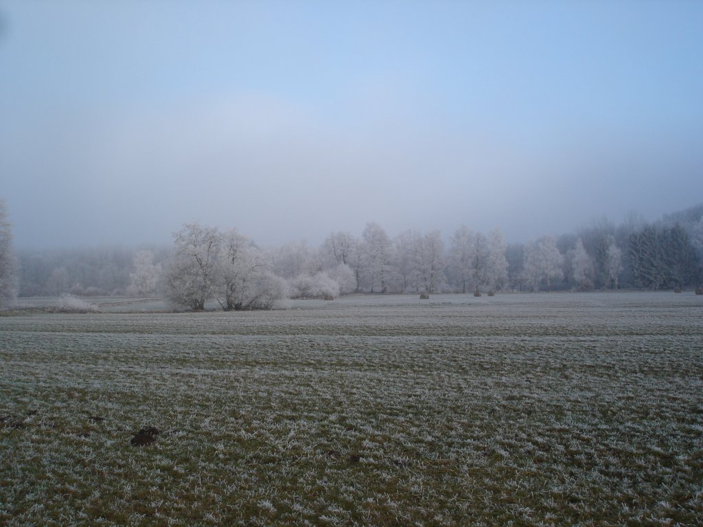 Winter in der Rheinebene,
der erste Rauhreif,
2005