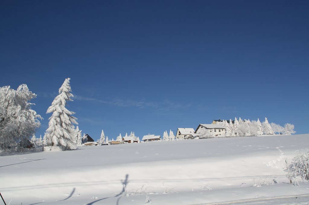 Winterabendzauber bei Hammerunterwiesenthal am 27.01.10. 