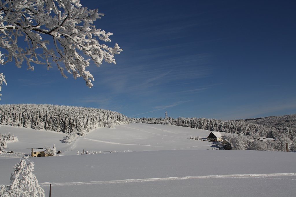 Winterabendzauber bei Hammerunterwiesenthal am 27.01.10. 