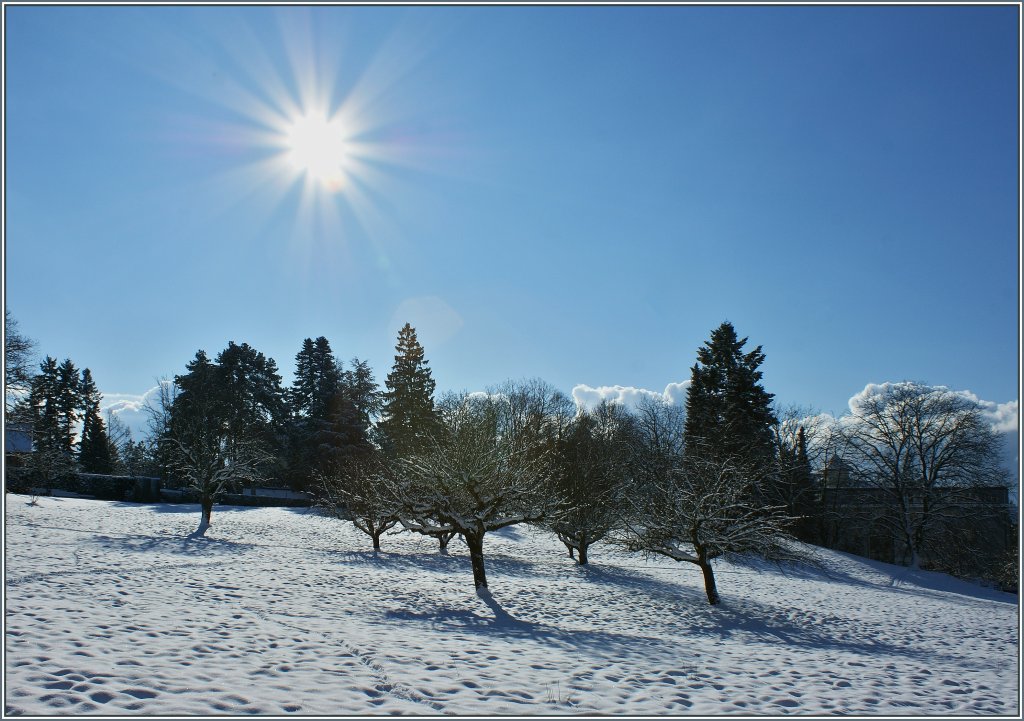 Winterlandschaft bei St-Legier
(16.01.2013)
