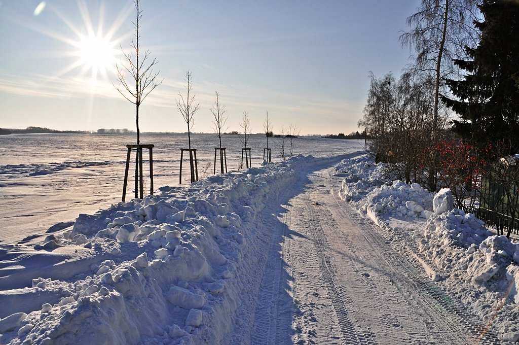 Winterlandschaft - bei Stralsund Ortsteil Devin, 25.01.2010