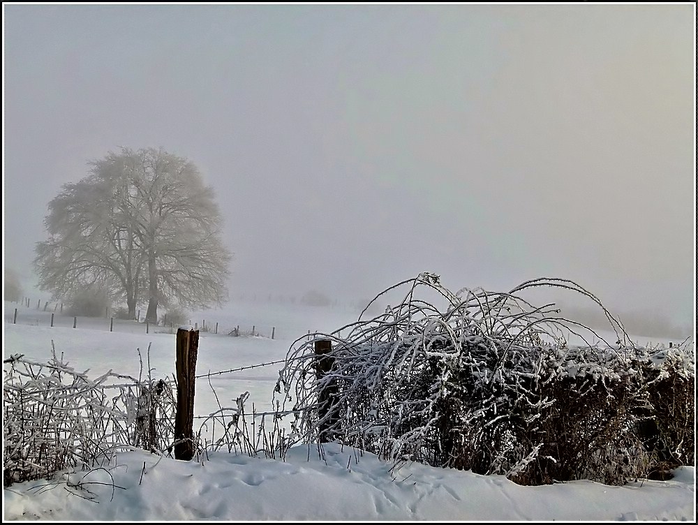 Winterliche Landschaft in Berl. 31.12.2010 (Jeanny)