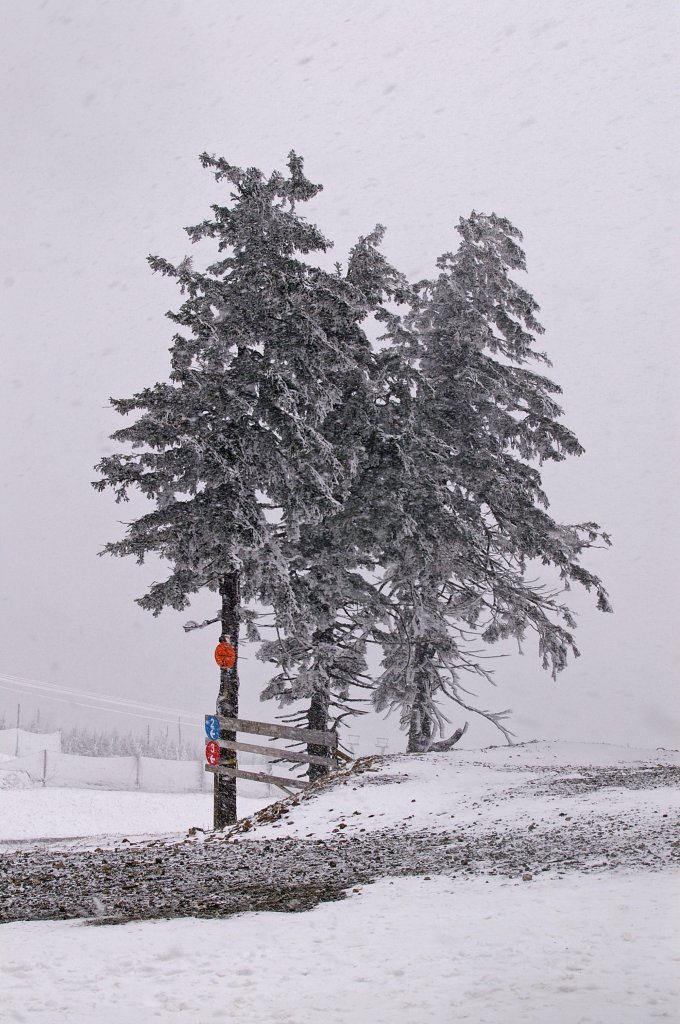 Winterliches Flair auf dem Wurmberg am Ostersamstag (7.4.2012).