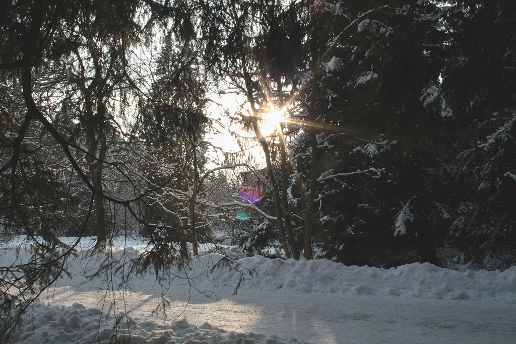 Wintermrchen im Wald bei Braunlage: Die Sonne steht schon tief am Nachmittag des 30.01.2012; Blick vom Brockenweg im Tal der Warmen Bode.