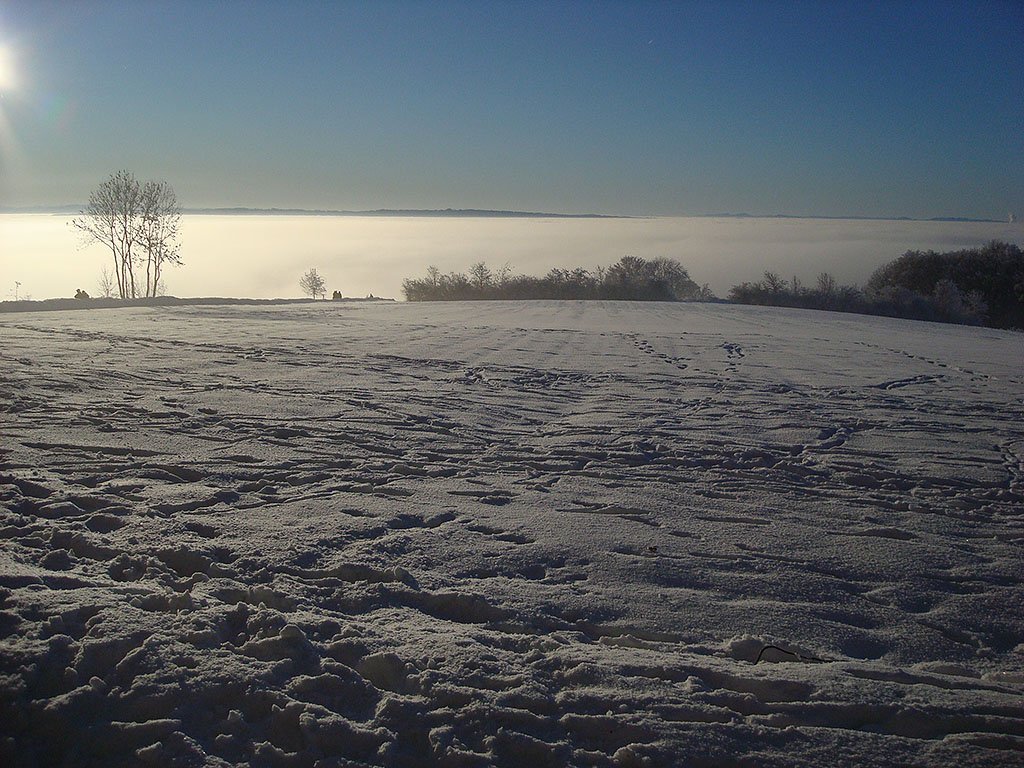 Winterspaziergang auf der etlibergkette. Blick Richtung Sdwesten, 11. Jan. 2009, 16:55