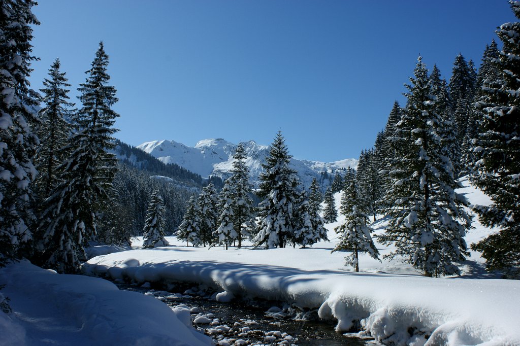 Winterstimmung in den Walliser Alpen bei They.
(15.02.2010)