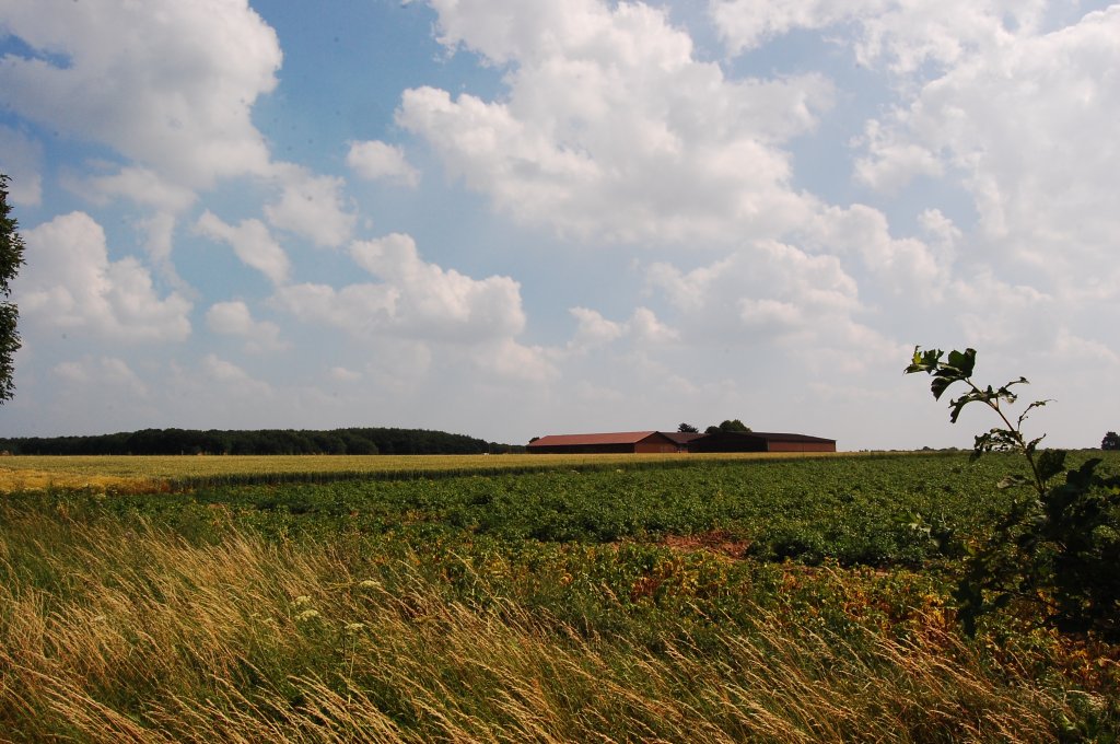 Wolken treiben ber's leicht hgelige Land, die Sonne zwinkert zwischen Ihnen hindurch. Hei weht der Sommerwind ber die trockene Erde, ber Felder, Wiesen und Wlder. Niederrhein wie bist du schn. 4.7.2010