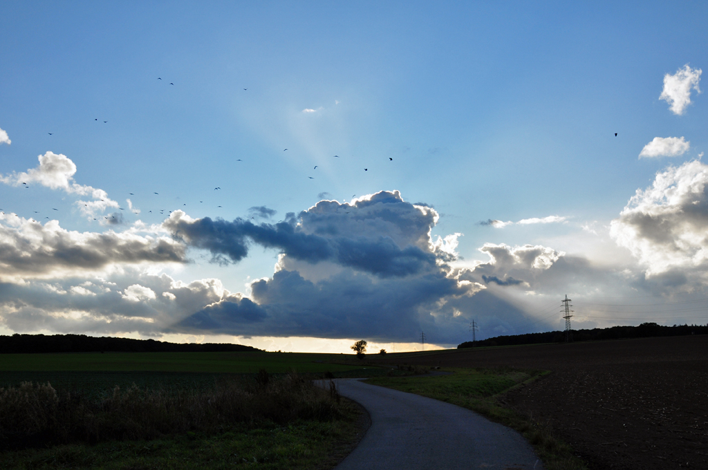 Wolkenstimmung mit Vogelschwarm in der Eifel - 19.10.2011