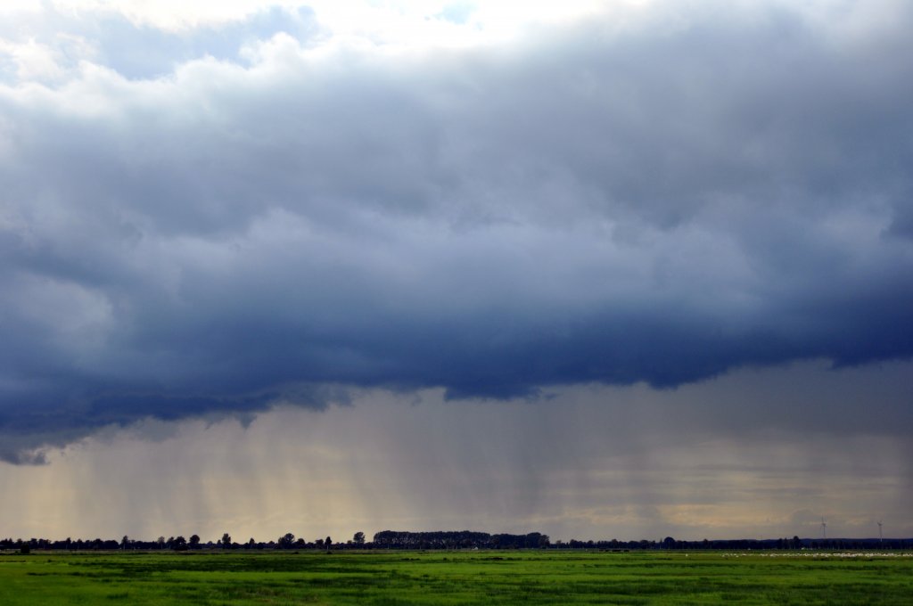 Wolkenwalze mit Fallstreifen (Virga) ber dem Ochsenmoor (Richtung Rschendorf/Dammer Berge), aufgenommen Nhe Schferhof am 27.08.11.