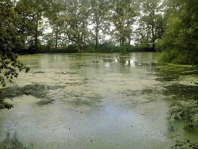 Zeulenroda Fernsicht Ein schner Blick zum Teich

24.08.2010