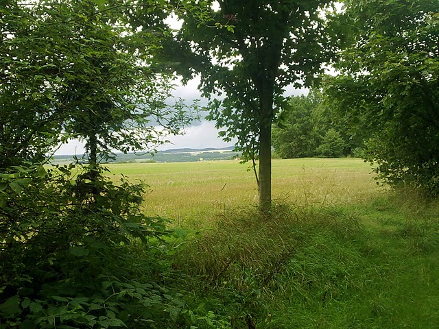 Zeulenroda Fernsicht Ein schner Blick aufs Feld 24.08.2010