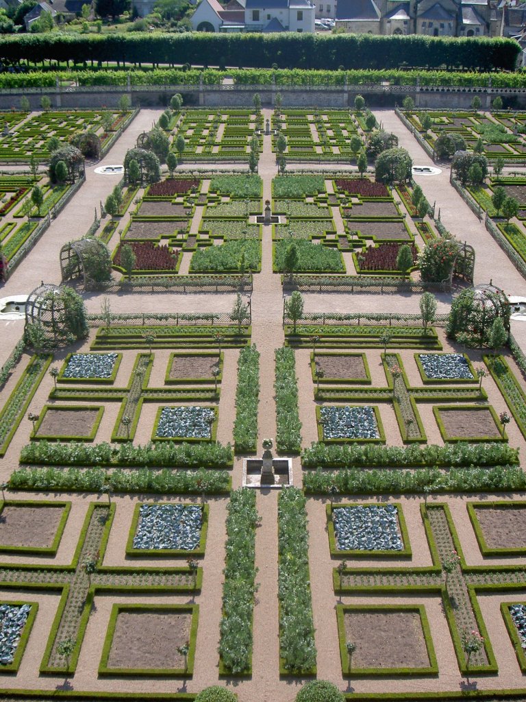 Ziergrten von Schloss Villandry, Loire Tal (01.07.2008)