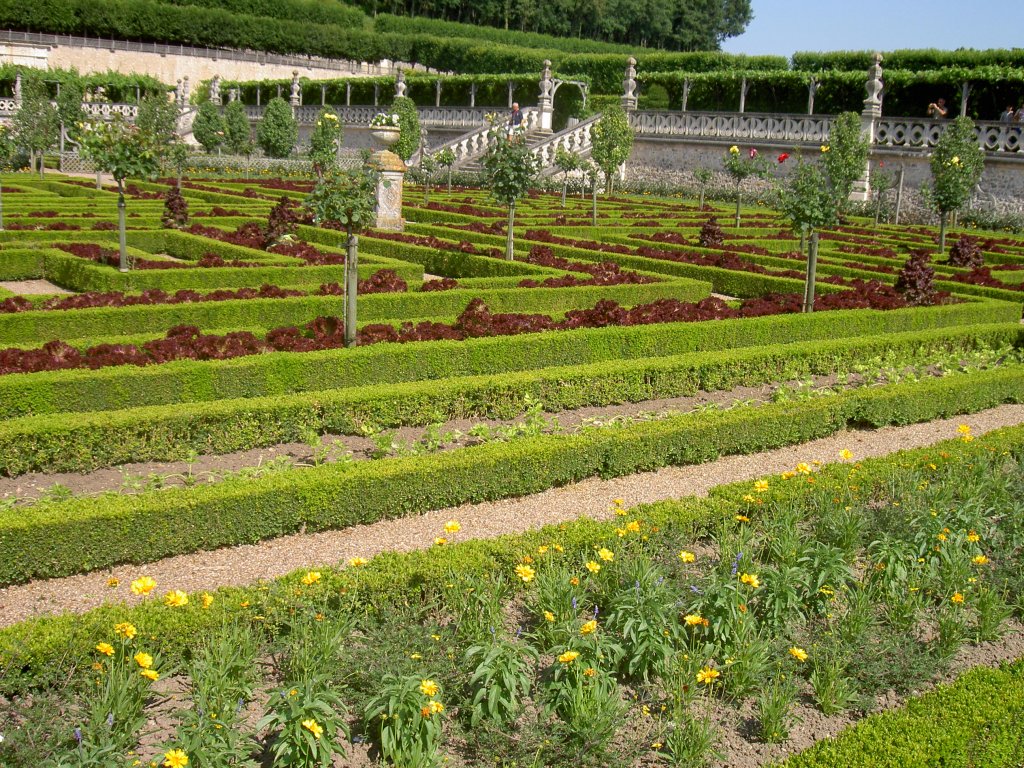 Ziergrten von Schloss Villandry, Loire Tal (01.07.2008)